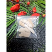 염도 제거 뼈산호 60g 달팽이 사육장 어항 인테리어 칼슘 뼈산호사