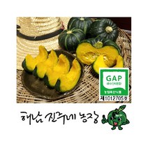 유기농미니밤호박 리뷰 좋은 인기 상품의 최저가와 가격비교