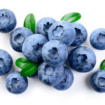 칠레 생 블루베리 생과, 1.5kg(125g*12팩)