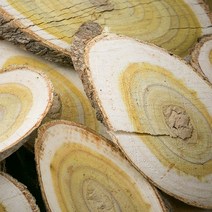 국산 옻나무 편 600g 슬라이스 손질 말린 건조 건 한방 차 보쌈 삼계탕 백숙 재료 옷나무 효능, 12VR_국산옻나무(편)600g, 12VR_국산옻나무(편)600g