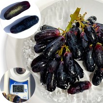 바로보담 블랙사파이어포도 900g 1.8kg 1팩 2팩 미국산 길쭉한 가지포도 제철, 900g × 2팩(총1.8kg), 2개
