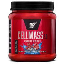 BSN CELLMASS Recovery Powder 비에스엔 노익스플로드 셀매스 리커버리 파우더 495g