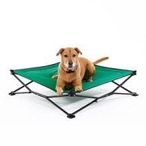 Coolaroo On The Go 높은 반려동물 침대 라지 데저트 샌드 3943893548, Emerald Green_Large, Emerald Green