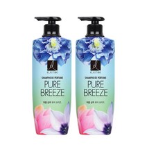엘라스틴 퍼퓸 샴푸 퓨어브리즈, 2개, 600ml