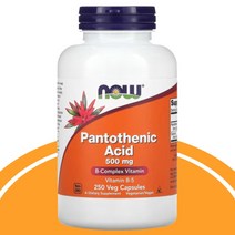 나우푸드 비타민B 판토텐산 500mg 250캡슐