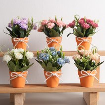 쁘디 홈데코 인테리어 조화화분 모음 꽃 장식 소품 카페 테이블 2, 10.쿠잉소국화분 14cmP-크림, 1p