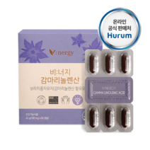 감마리놀렌산 보라지꽃종자유 혈중 콜레스테롤 개선 혈행건강 식약처인증 보라지유, 60캡슐, 1박스