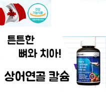 어르신 무릎관절 상어연골 추출물 칼슘 뼈건강 영양제 캡슐, 상어연골 칼슘 3개월분 1통