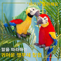 POOKAS 말따라하는 따라쟁이 말을따라하는 말하는 앵무새 인형 신기한 장난감, 그린