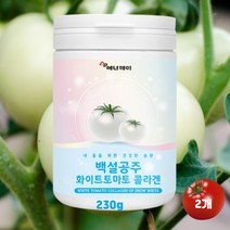 화이트토마토 피쉬콜라겐 피부 얼굴 하얘지는법 먹는 엘라스틴 히알루산 유산균 분말 가루 종합피부관리 230g, 2개