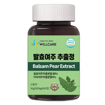 윌케어 발효여주 추출정 국내산 600mg x 60정, 1병, 1개, 36g