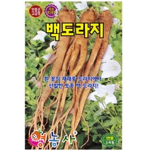 백도라지씨앗 1000립, 백도라지 (1000립)