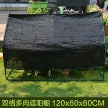 미니 비닐 하우스 옥상 가정 텃밭 소형 다육이 정원 온실 겨울나기, 첨탑선셰이드(길이120폭60높이60cm)