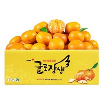 제주시농협 귤로장생 햇 노지감귤 4.5kg 9.5kg 로얄과 중대과, 제주시 농협 햇 노지감귤 9.5kg 로얄과