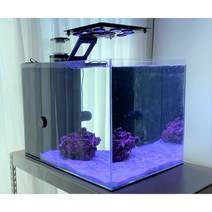 45큐브 2자 내부배면섬프 해수어항세트 오션큐브 니모 해수어 키우기, 선택안함, 선택안함, 선택안함