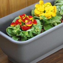 텃밭 화분 베란다 옥상 테라스 60cm(흙+마사 포함), 색상 / 그린