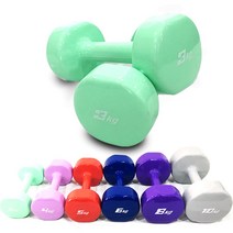 PVC 컬러 코팅 아령 2개 1세트, 3kg