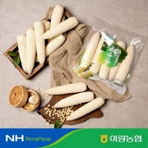 정선 여량농협 GAP인증 강원도 급속냉동 찰옥수수 5개입*2팩(총 10개입), 정선 냉동 찰옥수수 5개입*2팩(총10개입), 2팩