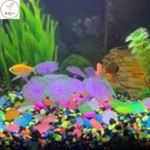 둘째언니 어항인조돌 수족관꾸미기돌 어항장식돌 야광자갈, 색상, 혼합