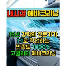 서울 인천 경기 무료출장내시경에바크리닝 에어컨/히터 곰팡이제거 악취제거 호흡기관리, 국산차2019년전모델(현대/기아)