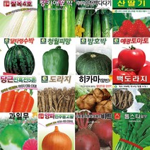 각종 열매 뿌리 채소 씨앗 모음 무 양파 토마토 호박 옥수수 콩 오이 씨 종자 모음, (호박) 밤호박