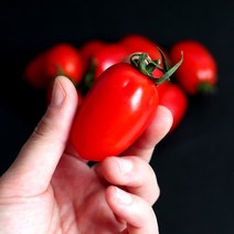 [달찐과일] 대추방울토마토 2kg 실중량 당일수확 산지직송, 대추방울토마토 2kg (1-3번과)