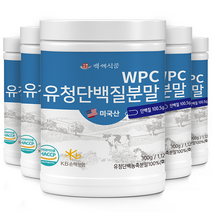 WPC유청단백질분말100% 300g통 미국산 HACCP 인증제품, 4통, 300g