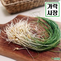 신선킹 달래 국산 150g