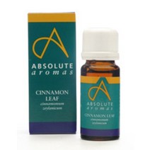 앱솔루트 에센셜오일 시나몬 리프(계피오일) 10ml, 단품