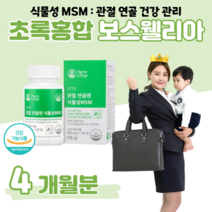 MSM 엠에스엠 보스웰리아 N 아세틸 글루코사민 관절 무릎 무릅 손목 연골 건강 도움 초록입홍합 상어 연골 해조 칼슘 초록 홍합 홈쇼핑 프리미엄 영양제 성분 가격 효능 밸런스 비교, 4개월분, 800mg x 120정