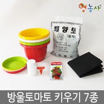 방울토마토키우기 7종, 단품