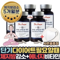 살빠지는 탄수화물흡수억제 내장지방빼는 체지방분해 도움 보조제 약 1달분량 사은품증정 살빼는 내장지방분해 도움 1달 2달 두달 단기간 예신 다이어트 턱살 볼살 팔뚝살 피하지방 빼는법, .5통