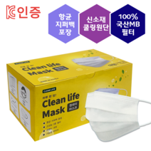 대한민국 생산 여름용 비말차단 성인용 덴탈마스크클린라이프 성인 대형 MB필터 3중필터 국산기술 국내제작 50매입 x 2박스