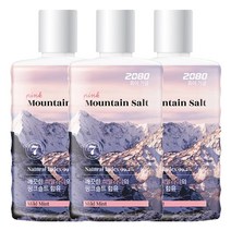 2080 퓨어가글 마운틴솔트 마일드민트향 750ml X 3개
