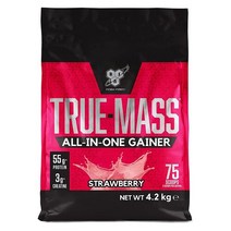 BSN 비에스엔 트루 매스 올인원 게이너 딸기 4.2kg 단백질 쉐이크 True-mass