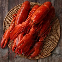 더꽃게 활 라지 점보 랍스타 3.5kg-8kg, 1마리, 4.5kg
