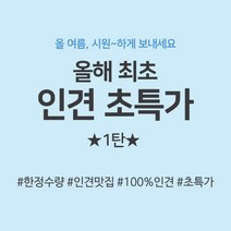 인견초특가 1탄 인견100 인견 24종, 03 데칼코마니(핑크)