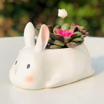 ROOGO 루고 화분 행복한 동물 일기 토끼
