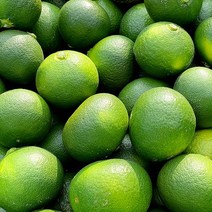 제주 무농약 청귤 풋귤 3kg, 1개