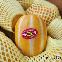 [머드러기] 산지직송 당일발송 2023 선물용 고당도 성주 꿀 참외 1.5kg 3kg 5kg 10kg, 선물용 고당도 참외, 꼬마과, 5kg(27~45과)
