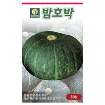 밤호박 단호박 호박 씨앗 다농 30립