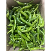 밀양 못난이 오이맛고추 풋고추 아삭이 1kg 5kg, 오이고추 상 1kg
