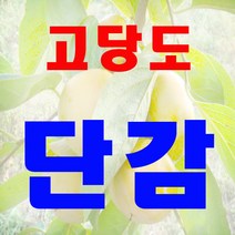 고당도 청도반시 대봉감 단감 5kg 10kg 대용량 특품 잘선별해 드립니다, 1박스, 단감10kg(소 65과내외)