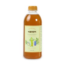 팜스바이오텍 식물영양이 친환경 EM 반려식물 스마트팜 주말농장, 1개