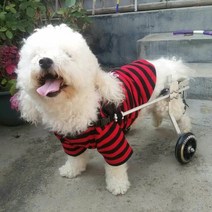 강아지휠체어 2륜보행기 의족 재활 소형견 뒷다리 보조기 훈련, XS