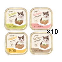 캣퓨어 영양간식 사각캔 100g X10개 습식 고양이간식, 참치와닭가슴살