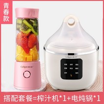 해외 글리코 휴대용 믹서기 가정용 과일 소형 충전 미니 주스 튀김기 전동-35874, 단일옵션, 옵션20