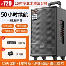 버스킹 앰프 휴대용 이동식 스피커 광장 야외 행사용 무대, 15인치