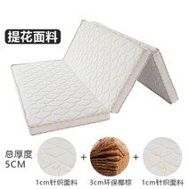 천연 코이어 매트리스 코코넛 팜 매트리스 패드 단단한 코이어 팜 접이식 매트리스 어린이 매트리스 100 천연 코이어 매트리스, 80X200cm+Thickness 5cm+F
