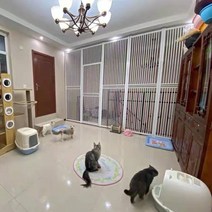 방묘문 고양이 파티션 울타리 안전문 담장 점프 방지, 1개